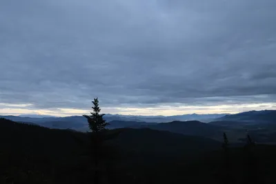 DSC_0131 (Large).JPG